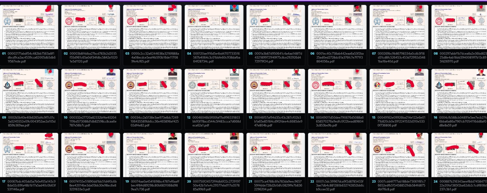 Redacted screenshot from Rylen Anil's X post showing exposed JEE Advanced admit-card PDF entries